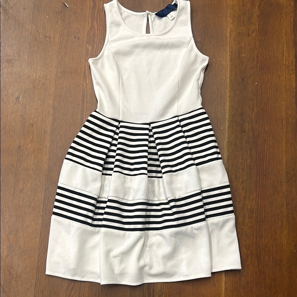 White & Black Striped Fit-and-Flare Dress